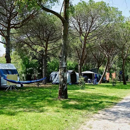 Camping Campo Dei Fiori Vada Exterior photo